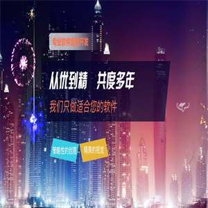 综合性网站开发