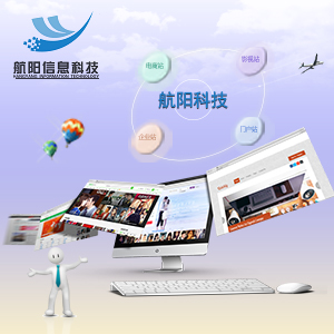 综合性网站开发
