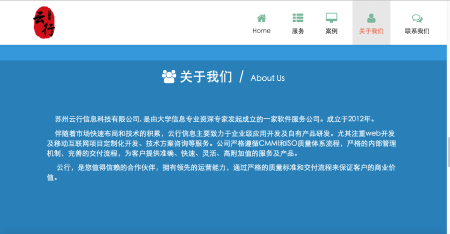 网站设计及开发