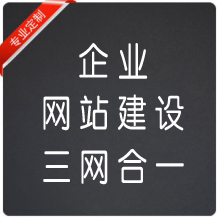 企业网站建设（三网合一）