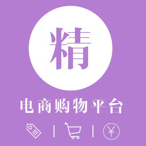 电商网站开发