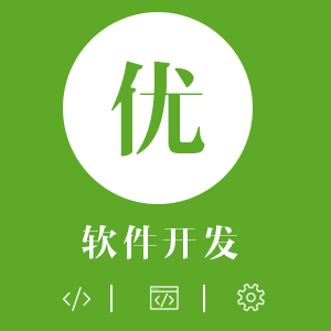 软件开发