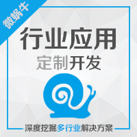 定制行业解决方案开发