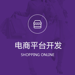 电商平台开发