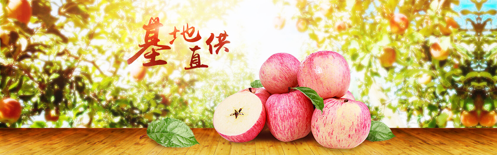 淘宝页面设计