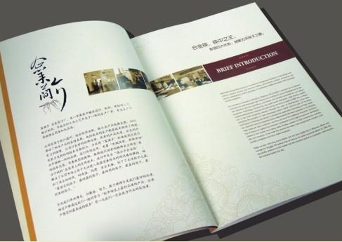 宣传册设计图形运用效果