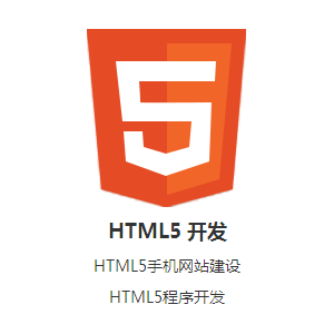 web网站定制开发