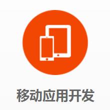 APP定制化开发