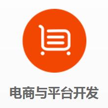 功能型平台开发