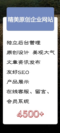 精美原创企业展示网站