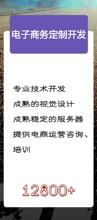 电子商务定制开发