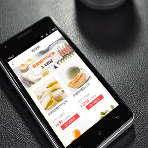 APP开发|APP定制|APP定制开发|网购支付