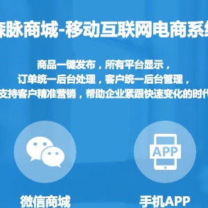 电商系统定制开发