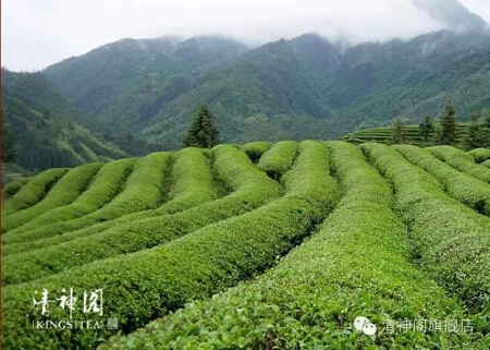 清神阁汇俱乐部会员招募中