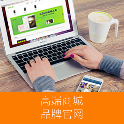 【电商专区】商城、团购网站高端定制