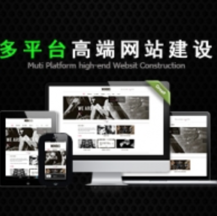 功能型网站开发