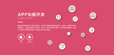 APP开发