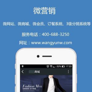微营销：微网站、微商城、微会员、订餐系统、3级分销系统、微信公众号运营等