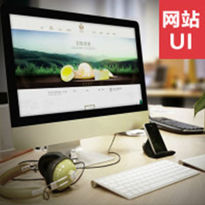 网站前端开发/网站UI设计/网站UI特效设计/精致传播