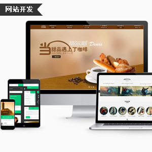 网站开发/企业展示型网站/综合型网站/电商网站开发/Wap网站开发