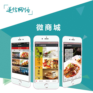 【递信网络 】微信商城/微信二次开发/商城 /微信开发