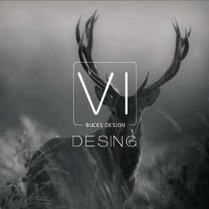 VI Design