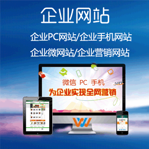 E型网站建设套餐参考价格：4600元起