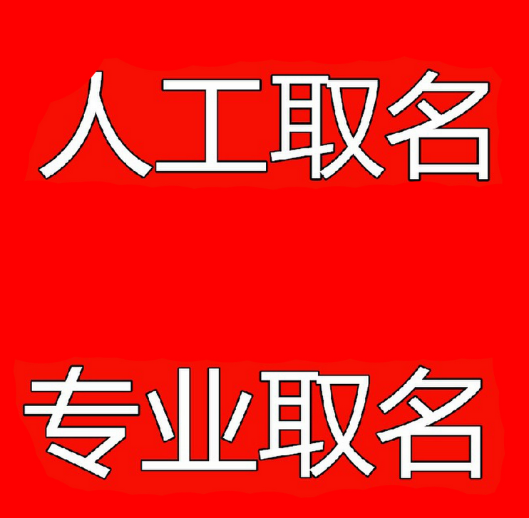 如何看待网上起名软件