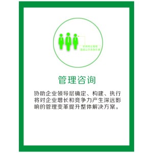 管理咨询