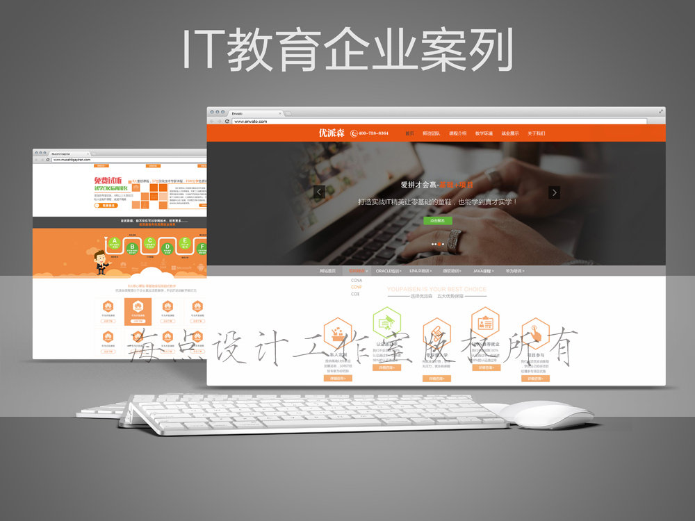 IT网络教育类案例