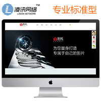 【企业专业标准型网站建设】总监设计|美工做到满意|商业/企业