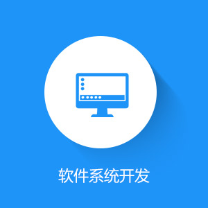 软件系统开发
