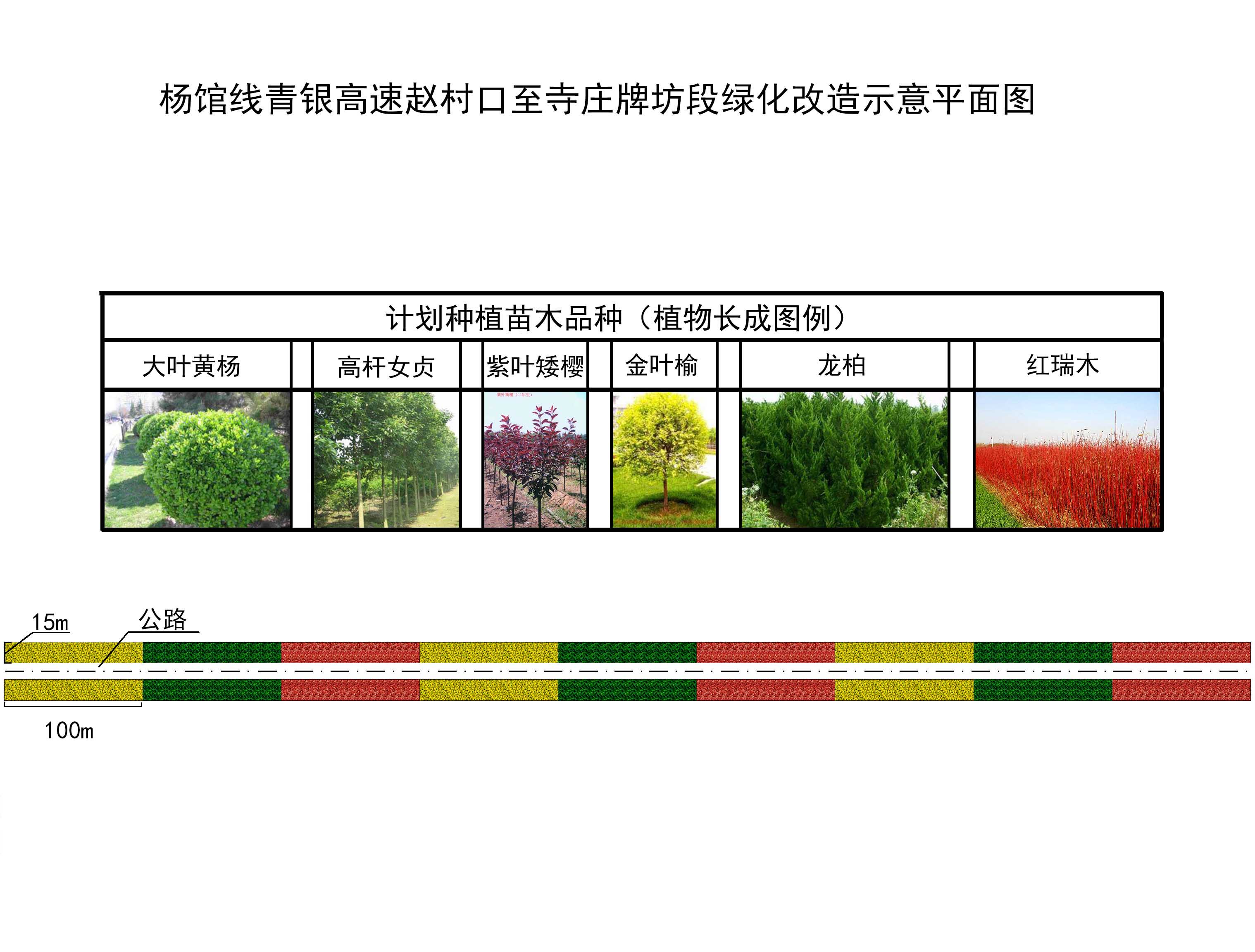 公路绿化示意图