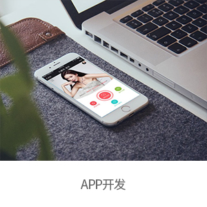 APP开发