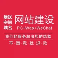 网站建设独立开发