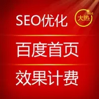 SEO关键词排名服务