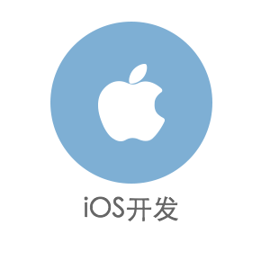 App定制