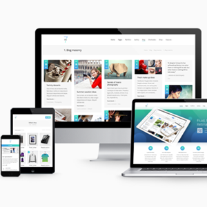 企业宣传建站CMS网站开发一条龙服务