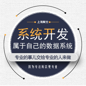 系统开发