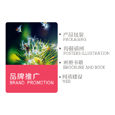 我们的服务