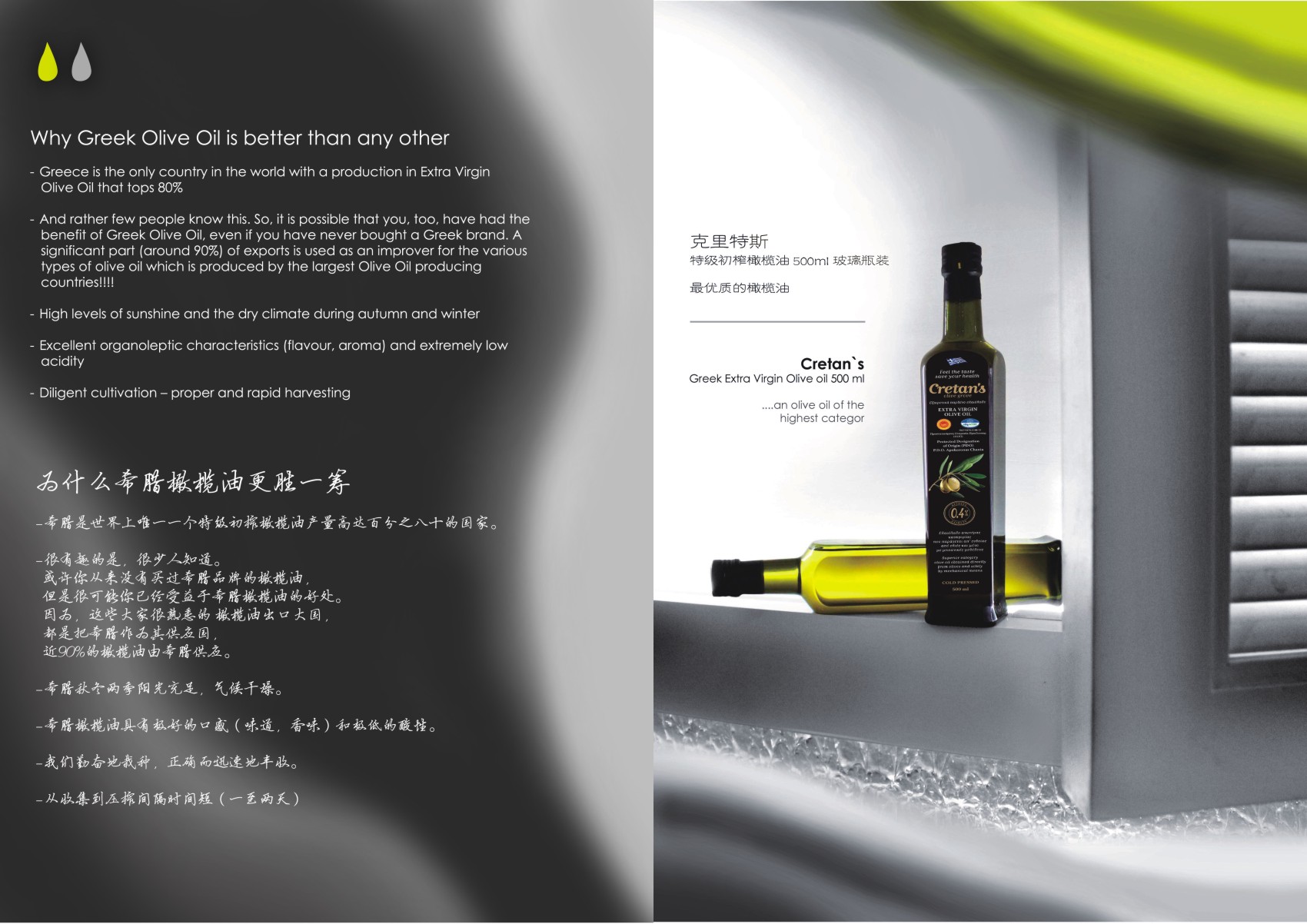 食品公司宣传折页