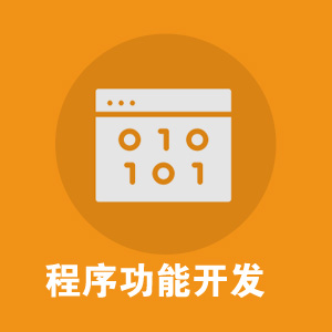 程序功能开发/功能优化/功能制定/移动应用软件开发