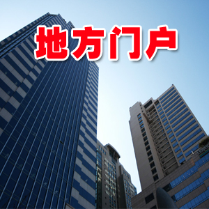 地方门户网站建设