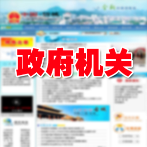 政府机关类