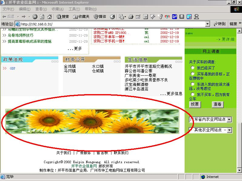 网络旗帜广告的特点分析