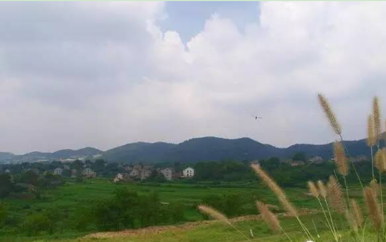 那些常见的房地产广告语你真得读懂了吗