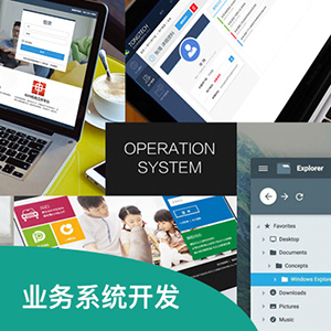 【梦思特】业务系统开发 / OA系统 / CMS系统