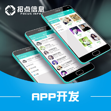 APP双端定制开发