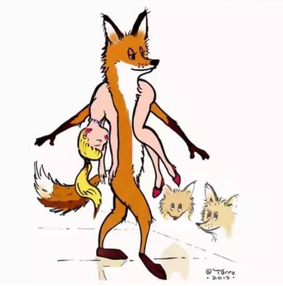 保护动物插画设计欣赏