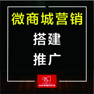 【微商城】微商城营销、搭建、推广